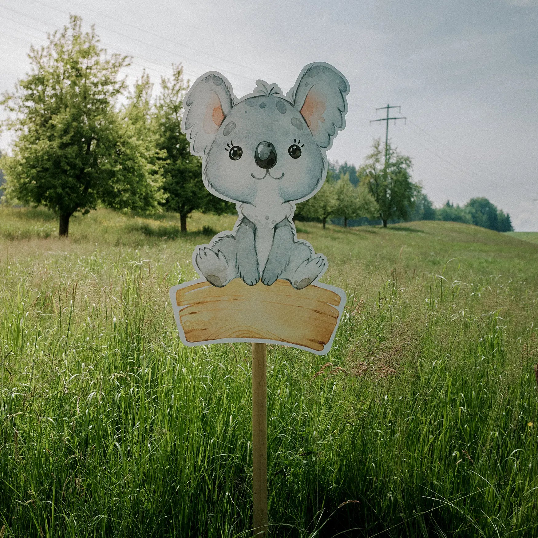 Geburtstafel Koala
